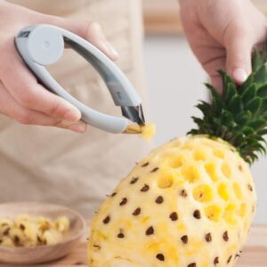 Fruits Cutter